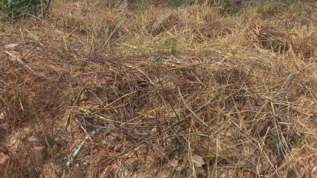 Stand for Sale in Mabvazuva Estates