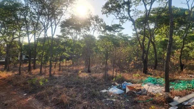 Residential Stand for Sale