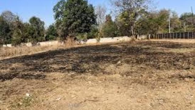 Stand for Sale in Mandara