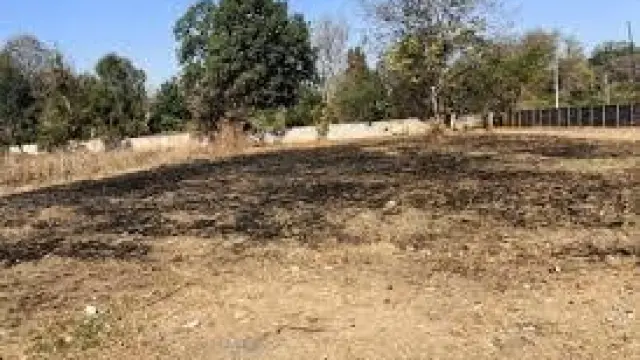 Residential Stand for Sale