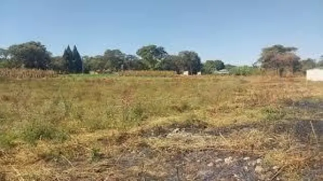 Residential Stand for Sale