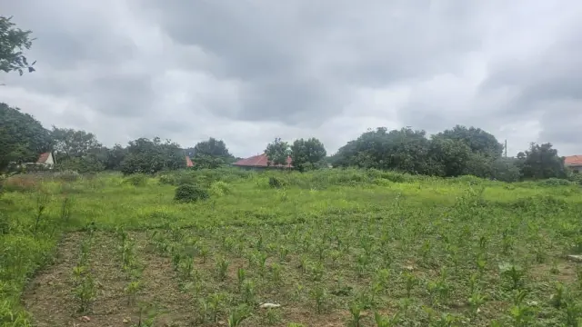 Residential Stand for Sale