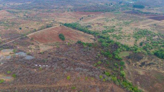 Stand for Sale in Shamva