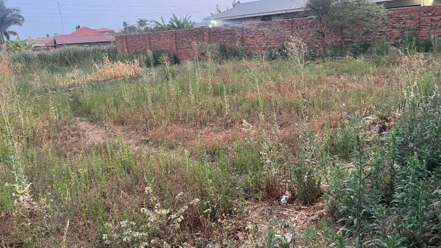 Stand for Sale in Maranatha