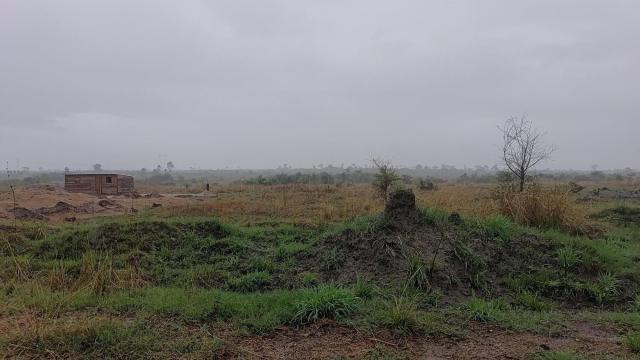 Stand for Sale in Southlea Park