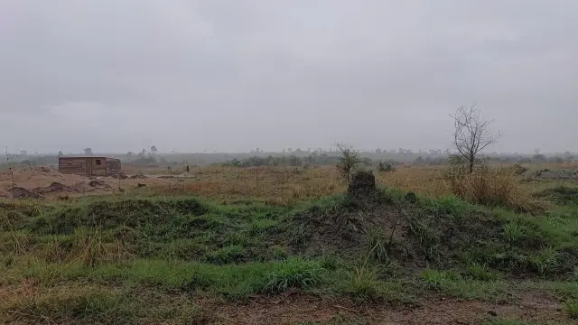 Residential Stand for Sale