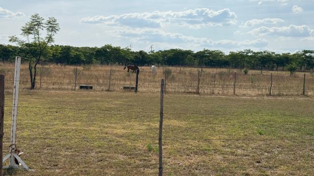 Stand for Sale in Marondera