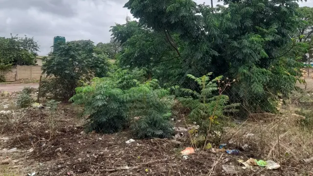 Residential Stand for Sale