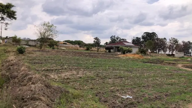 Residential Stand for Sale