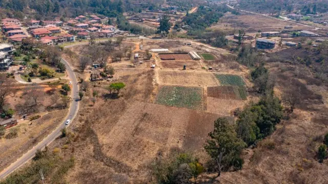 Commercial Stand for Sale