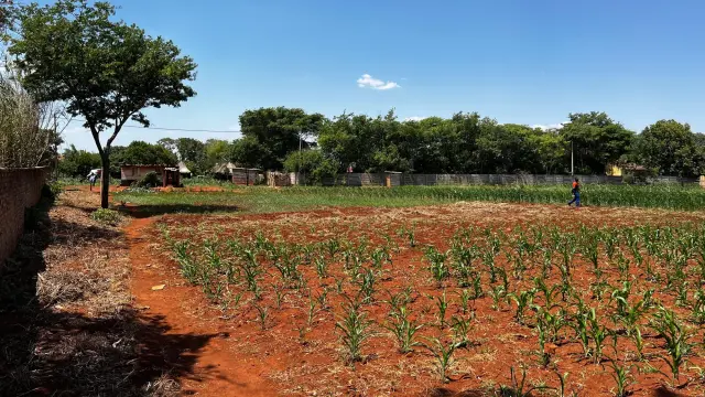 Residential Stand for Sale