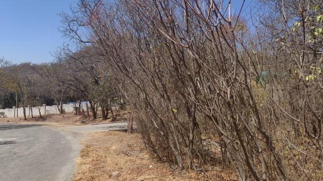 Stand for Sale in Glen Lorne