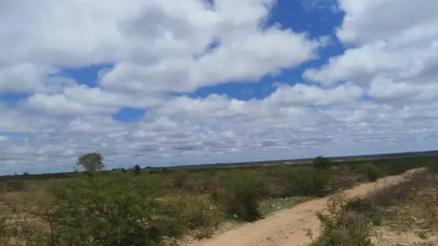 Commercial Stand for Sale in Rangemore