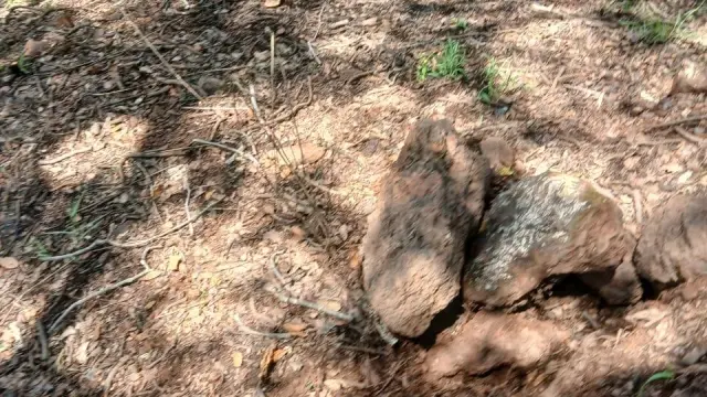 Residential Stand for Sale