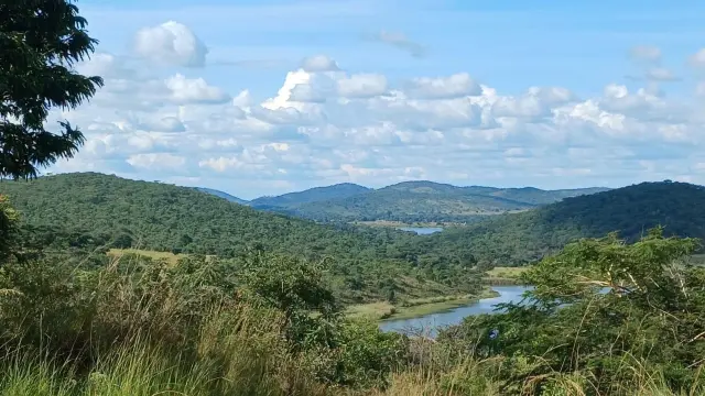 Farm/Plot for Sale in Arcturus