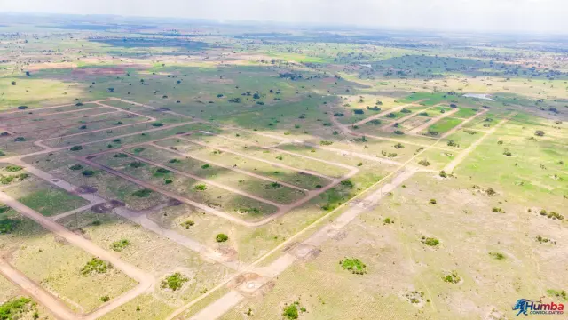 Residential Stand for Sale