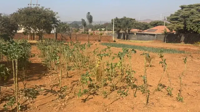 Residential Stand for Sale in Tynwald