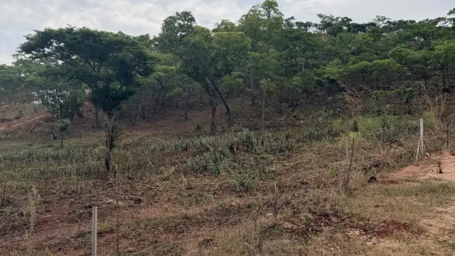 Residential Stand for Sale