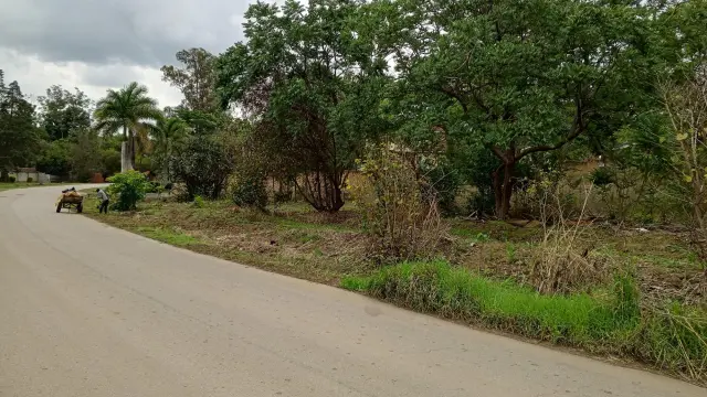 Residential Stand for Sale