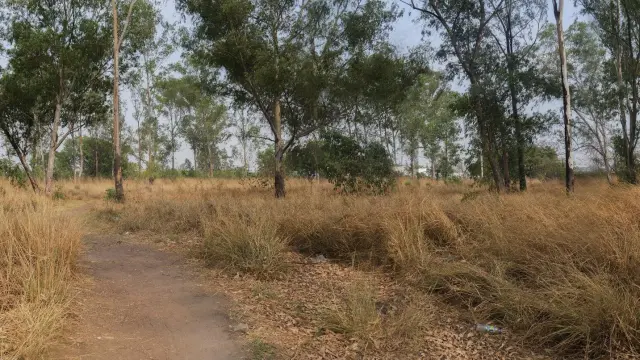 Commercial Stand for Sale