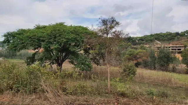 Residential Stand for Sale