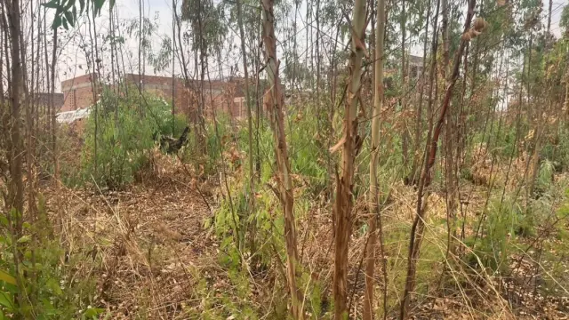 Residential Stand for Sale