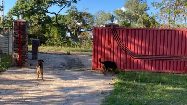 Other Commercial for Sale