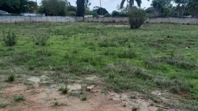 Residential Stand for Sale