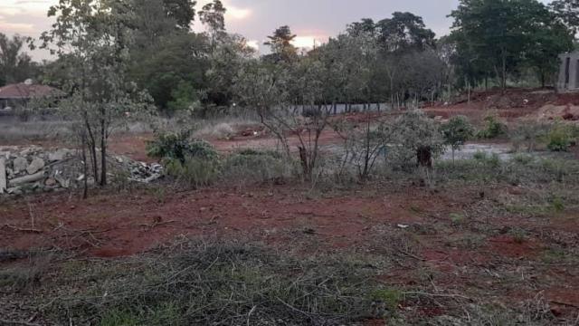 Stand for Sale in Quinnington