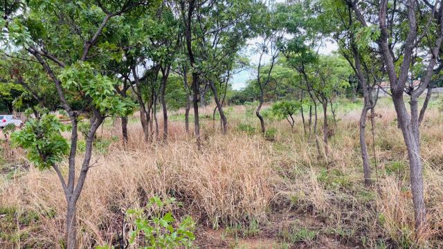 Stand for Sale in Mabelreign