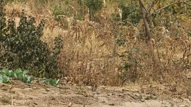 Residential Stand for Sale