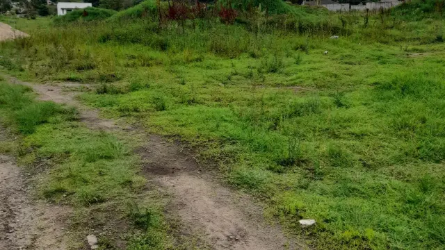 Residential Stand for Sale