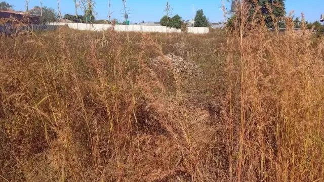 Residential Stand for Sale