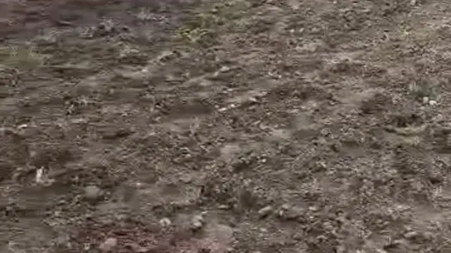 Residential Stand for Sale