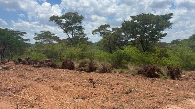 Stand for Sale in Kwekwe