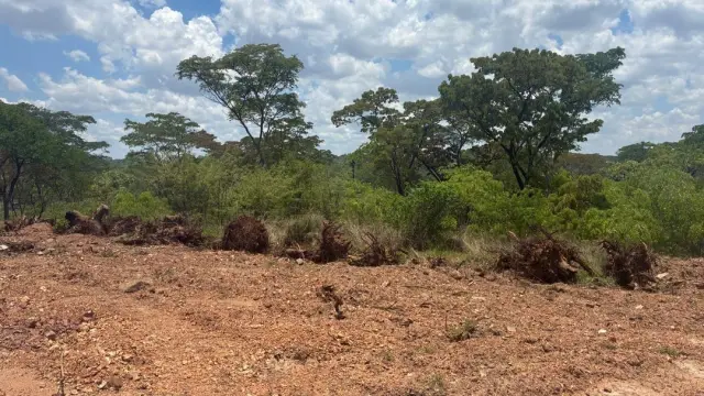 Residential Stand for Sale