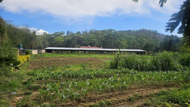 Stand for Sale in Umwinsidale