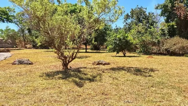 Residential Stand for Sale