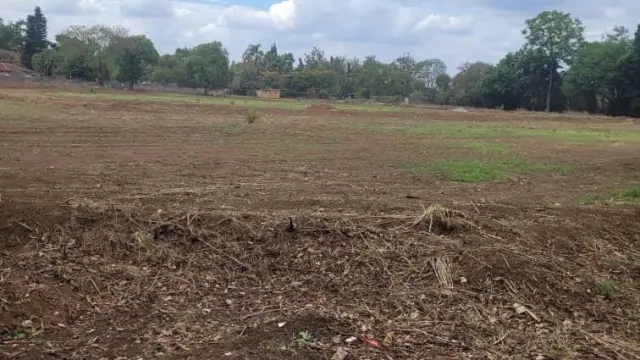 Residential Stand for Sale