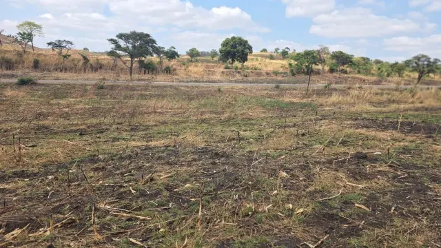 Residential Stand for Sale