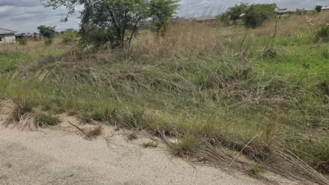 Residential Stand for Sale