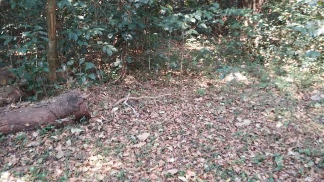 Stand for Sale in Vumba