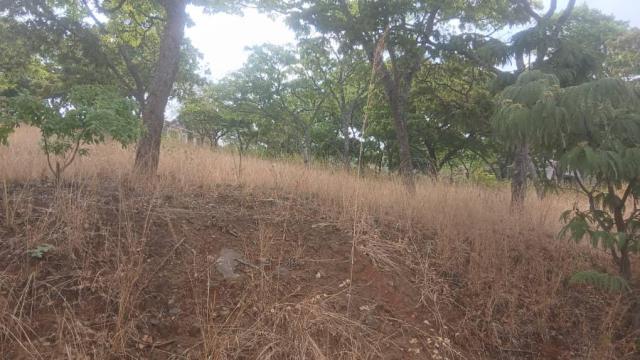 Stand for Sale in Glen Lorne