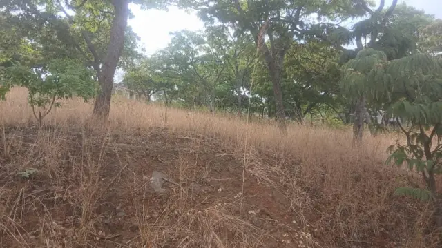 Residential Stand for Sale