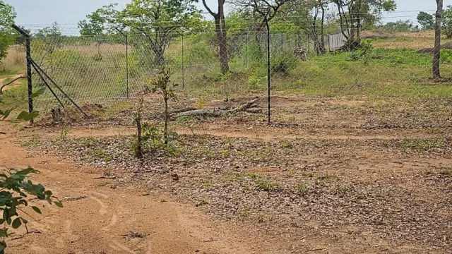 Farm/Plot for Sale inDonnington