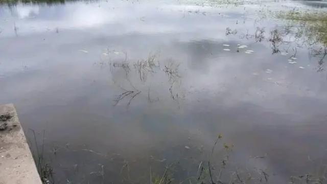 Stand for Sale in Kadoma