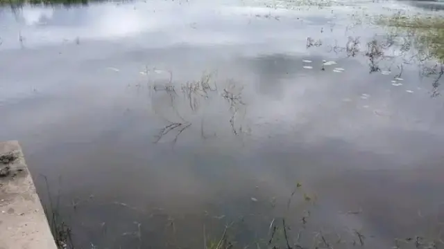 Farm/Plot for Sale inKadoma