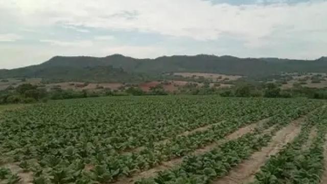 Stand for Sale in Home Fountain