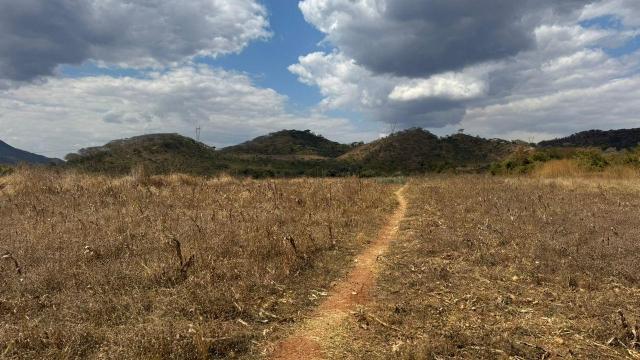 Stand for Sale in Tiger's Kloof
