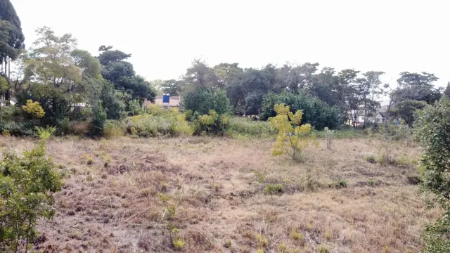 Residential Stand for Sale